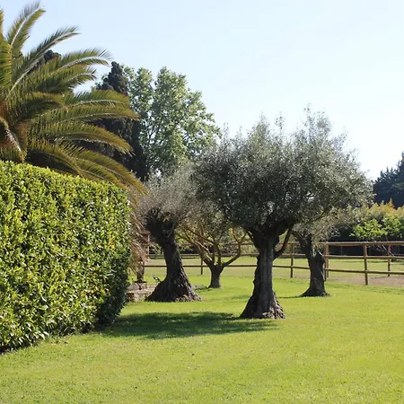 Des Fontaines
